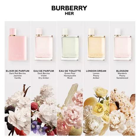 burberry parfum notes